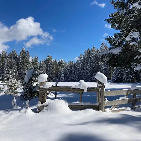 Oefnerhof *