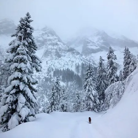 Oefnerhof Apartamento