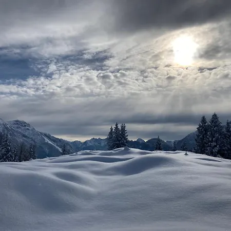 Apartamento Oefnerhof Leutasch