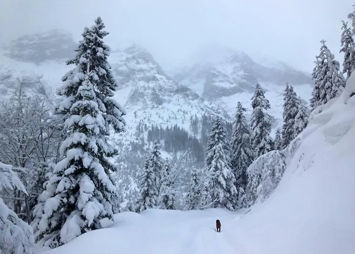 Oefnerhof Apartamento